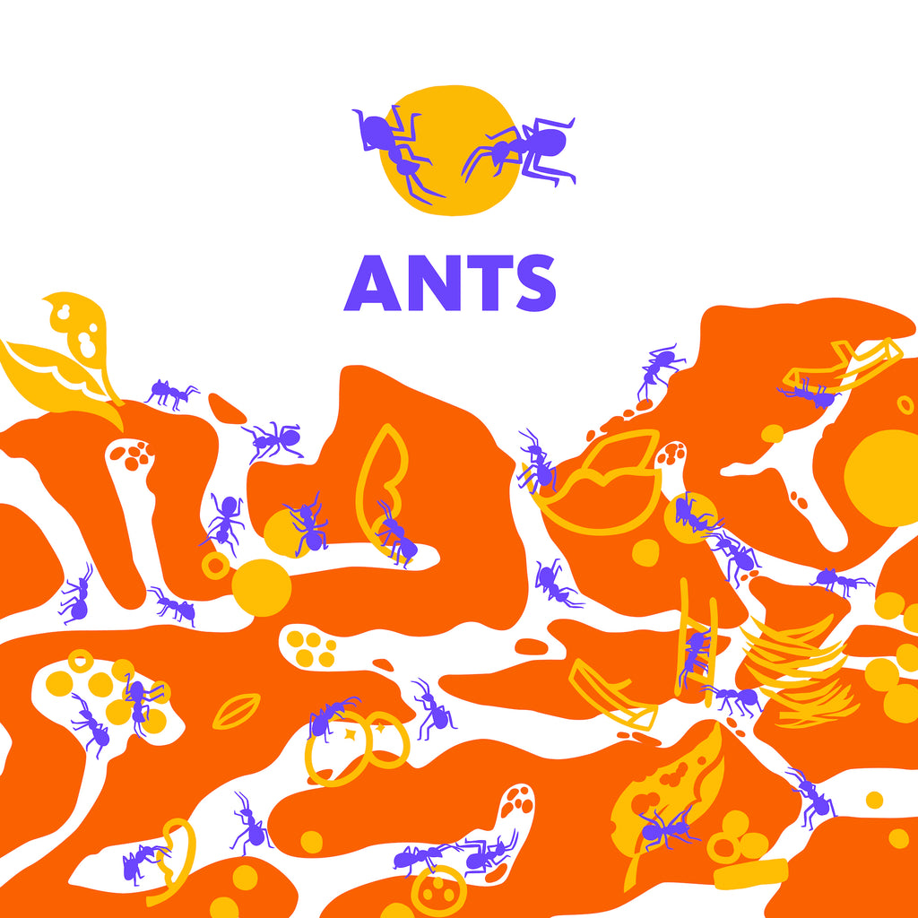 ANTS Collection